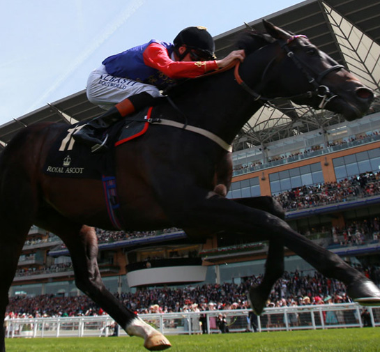 Royal Ascot Limo Hire Bedford