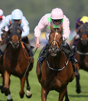 Royal Ascot Limo Hire Bedford